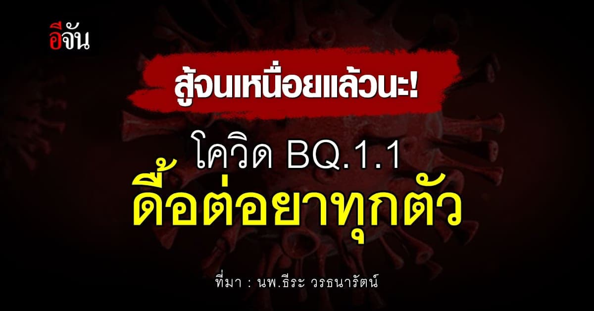 นพ.ธีระ ชี้ โควิดสายพันธุ์  BQ.1.1 ดื้อต่อยาแอนติบอดี้ทุกตัว