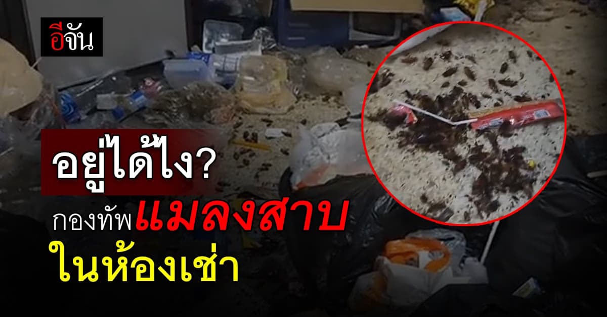 ช็อก ห้องเช่าขยะท่วม แมลงสาบ นับพันตัวอยู่ในห้องเช่า