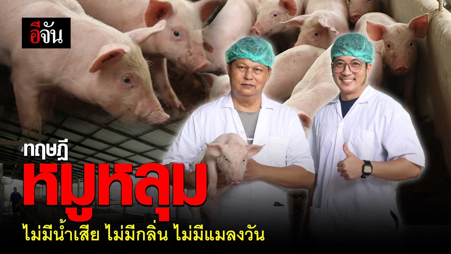 🎬 ทฤษฎีหมูหลุม ไม่มีน้ำเสีย ไม่มีกลิ่น ไม่มีแมลงวัน