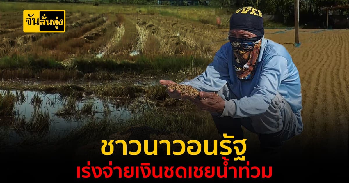 ชาวนาวอนรัฐ เร่งจ่ายเงินชดเชยน้ำท่วม