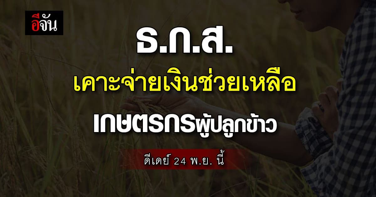 บอร์ด ธ.ก.ส. เคาะจ่ายเงินช่วยเหลือเกษตรกรผู้ปลูกข้าว ลุยอัดฉีดไร่ละพัน