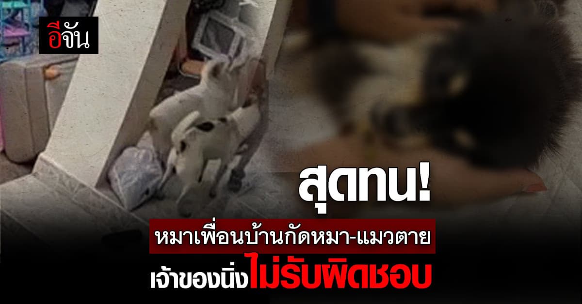 เจ้าของบ้านสุดทน หมาบ้านตรงข้ามปีนรั้วเข้ามากัดสัตว์เลี้ยง ตายคาบ้าน