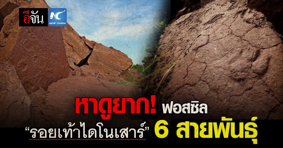 จีนพบฟอสซิล “รอยเท้าไดโนเสาร์” หายากกว่า 30 รอย