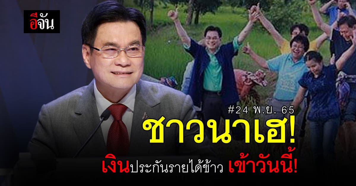 เช็กเลย! เงินส่วนต่าง ประกันรายได้ข้าว เข้าบัญชีวันนี้ 24 พ.ย. 65