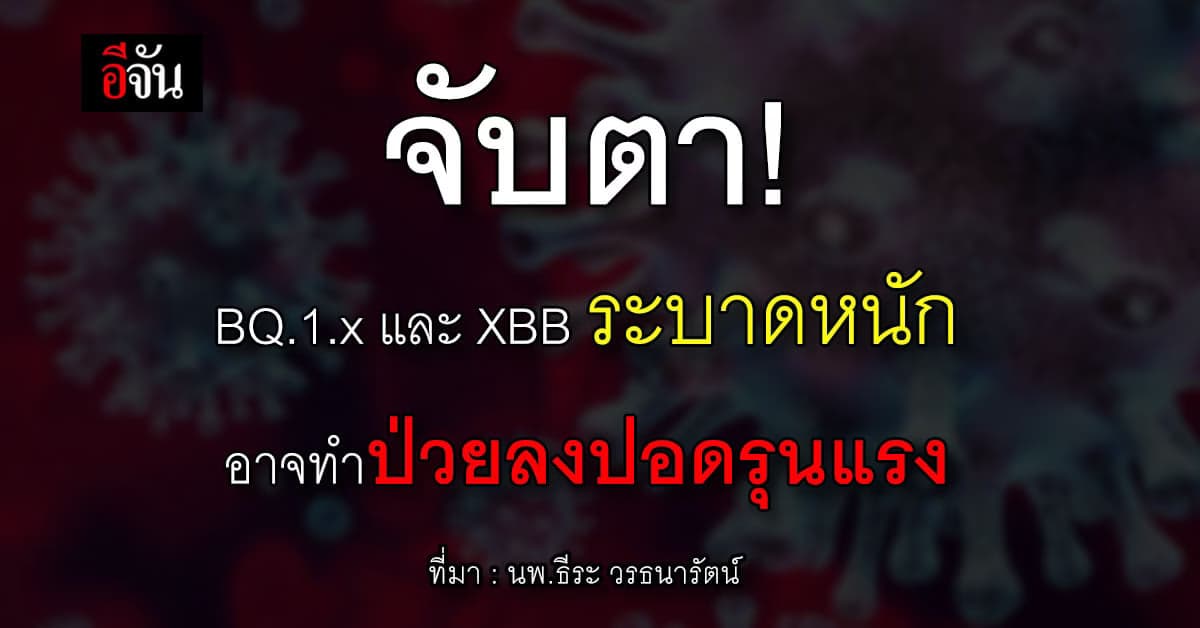 WHO หวั่นใจ! BQ.1.x และ XBB ระบาดหนัก อาจทำป่วยลงปอดรุนแรง