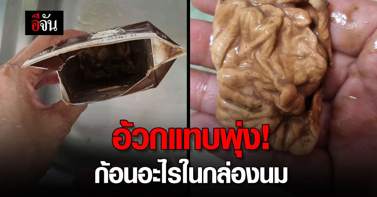 สาวอ้วกแทบพุ่ง เจอก้อนปริศนาในกล่องนมยี่ห้อดัง