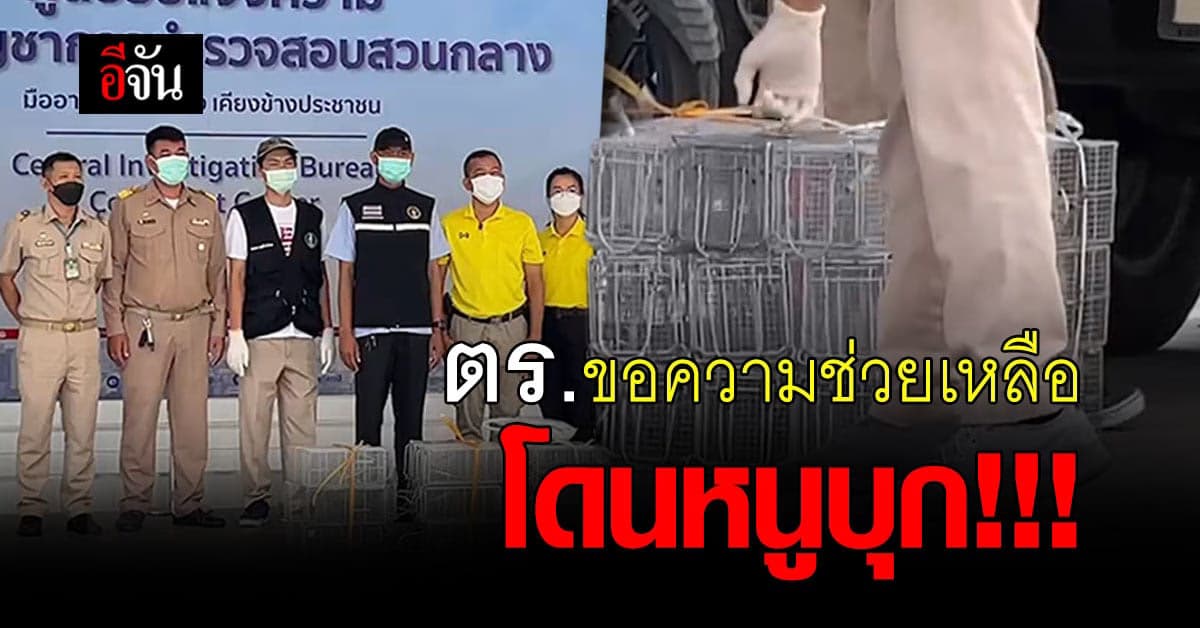 สำนักอนามัย กทม. ส่งเจ้าหน้าที่ ช่วยจับหนู ให้ ตร. สอบสวนกลาง