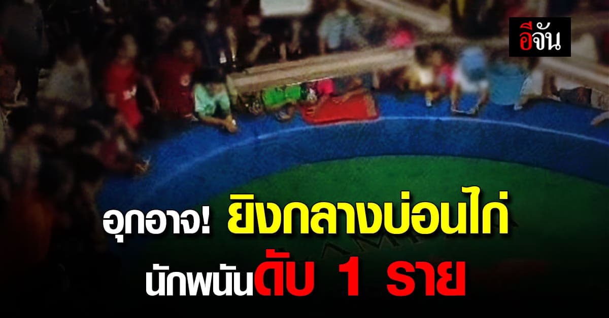 จับเเล้ว! มือยิงกลางบ่อนไก่ ปมต่อรองไม่ลงตัว นักพนันดับ 1