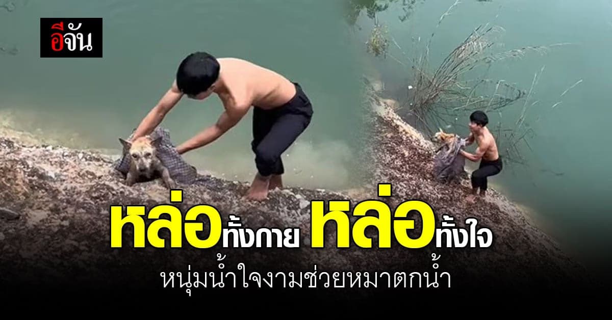 หนุ่มน้ำใจงาม ช่วยหมาตกน้ำ หล่อทั้งกายหล่อทั้งใจ