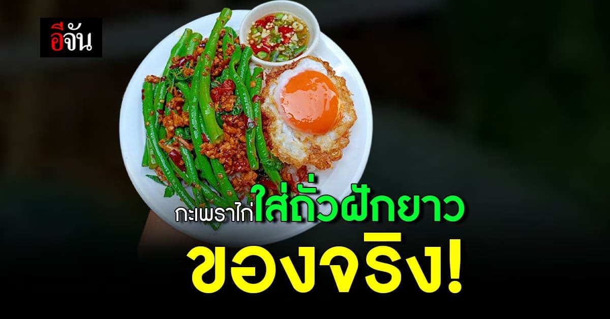โฉมใหม่ กะเพราไก่ใส่ถั่วฝักยาว โซเชียลลั่นยาวขนาดนี้ถักเปียไหม