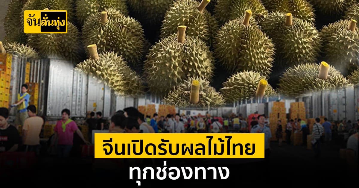 ข่าวดี ตลาดกว่างซีเปิดเส้นทางขนส่งผลไม้จาก 20 ประเทศอาเซียนทุกเส้นทาง