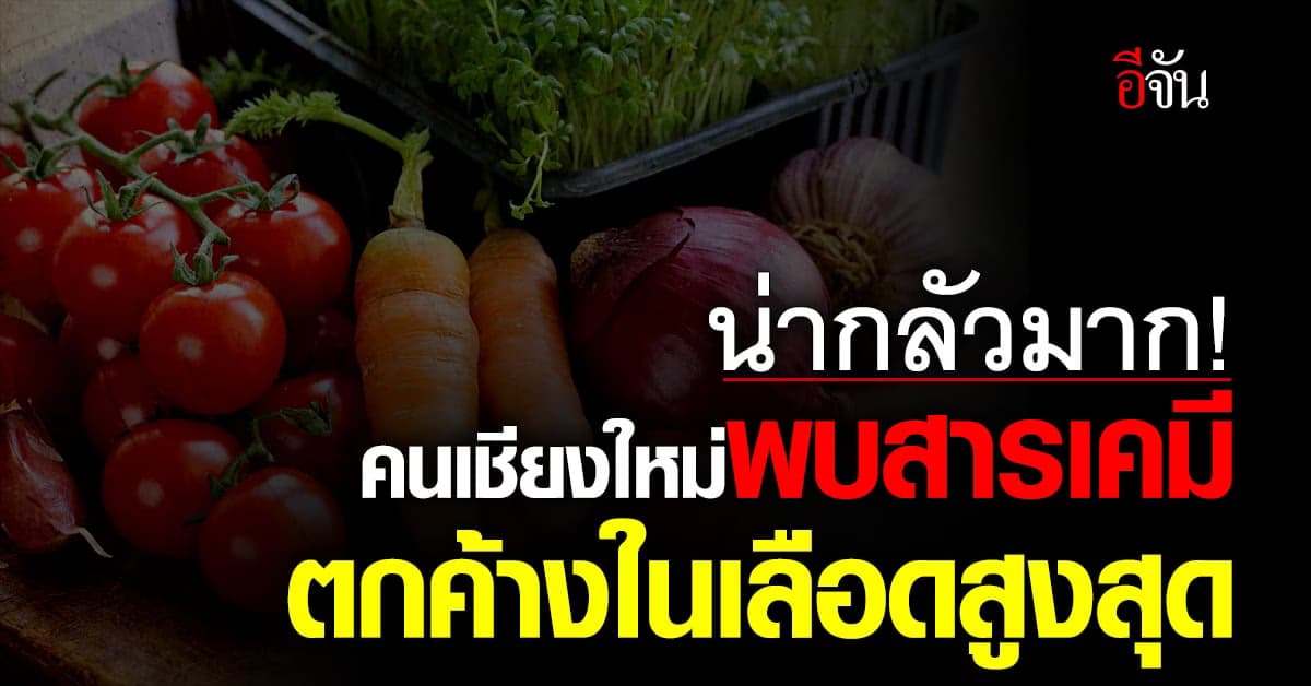 คนเชียงใหม่ พบสารเคมีตกค้าง ในเลือดสูงสุด