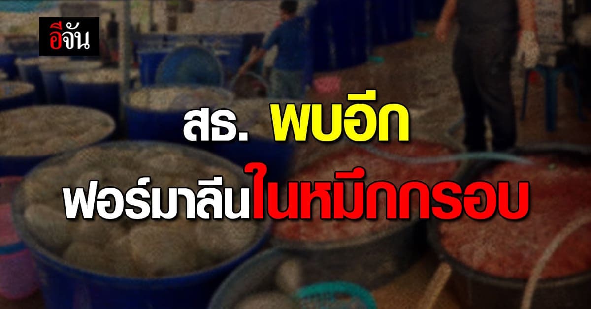 กรมอนามัย ลุยตรวจ ร้านหมูกระทะชลบุรี พบ ฟอร์มาลีน ใน หมึกกรอบ – สไบนาง