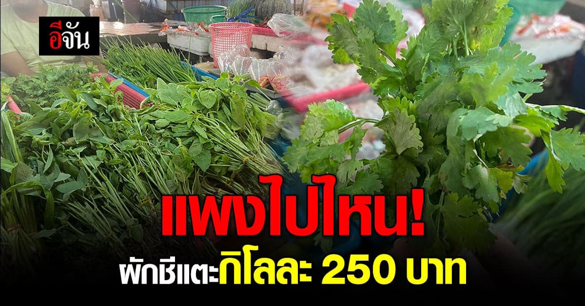 แพงกว่าหมูก็ผักนี่แหละ! ผักใบราคาขึ้นรับเทศกาลปีใหม่
