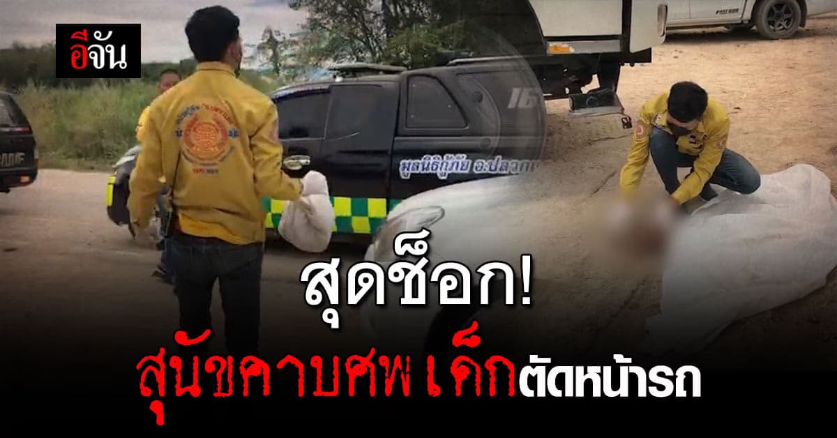 หนุ่มขับรถ 10 ล้อ เจอสุนัขคาบชิ้นเนื้อ สุดท้าย กลายเป็น ศพทารก
