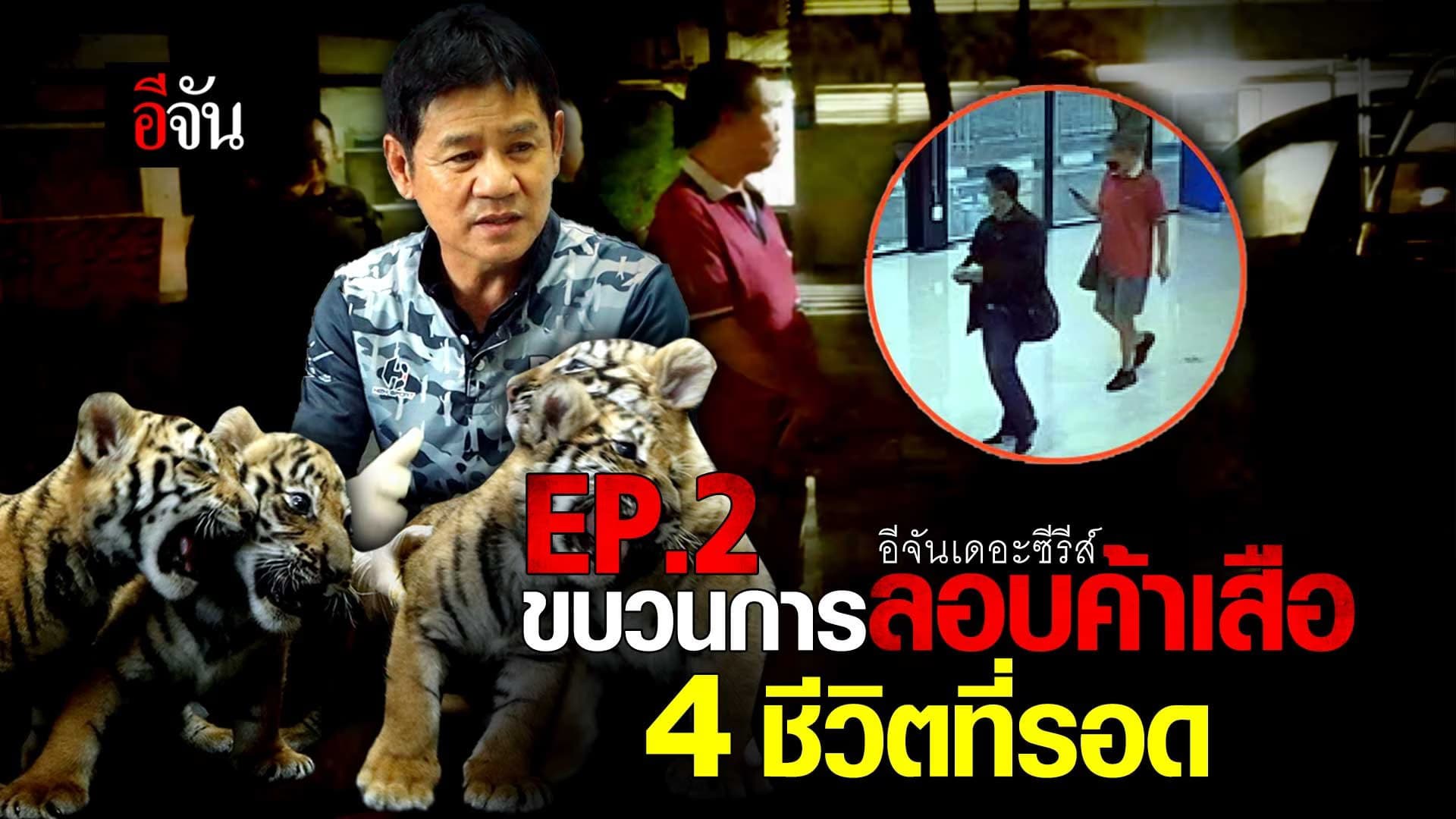 🎬 เจาะขบวนการ ลอบค้าเสือ … ตุ๋นทำยาโด๊ป EP.2