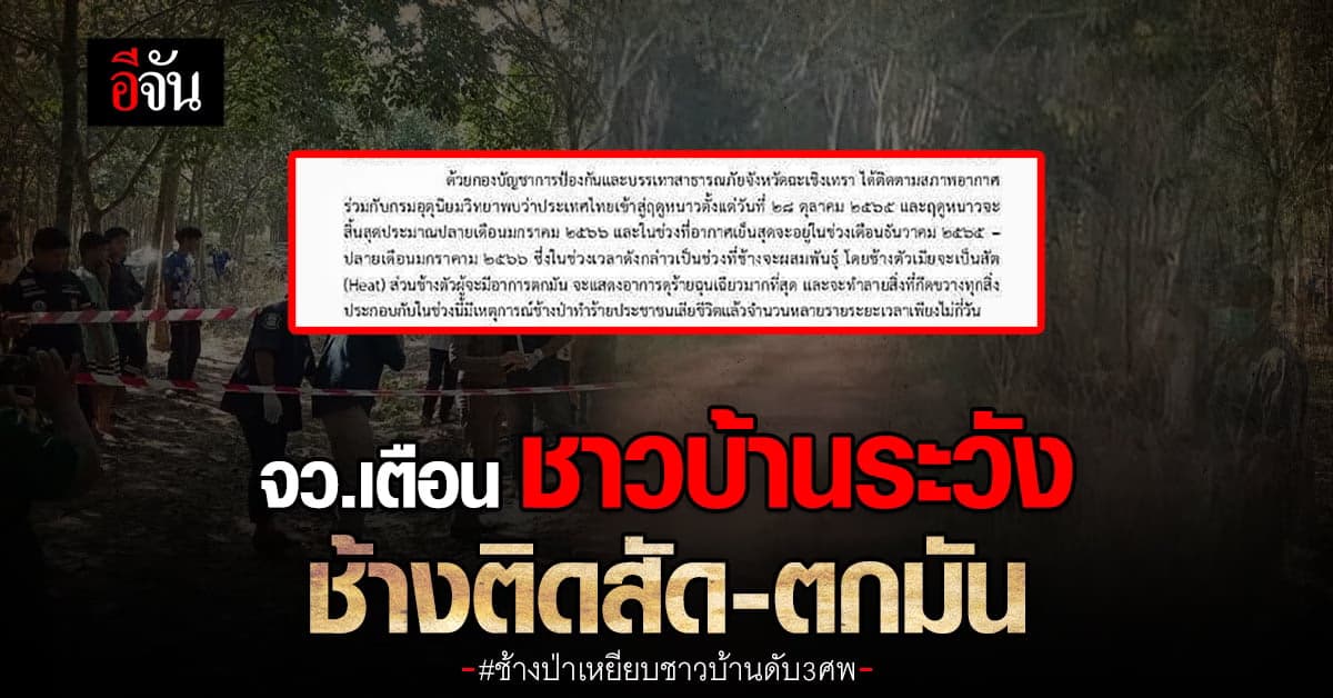 จ.ฉะเชิงเทรา เตือน ช้างป่า ถึง ฤดูผสมพันธุ์ ช้างตกมัน – ติดสัด ดุร้าย