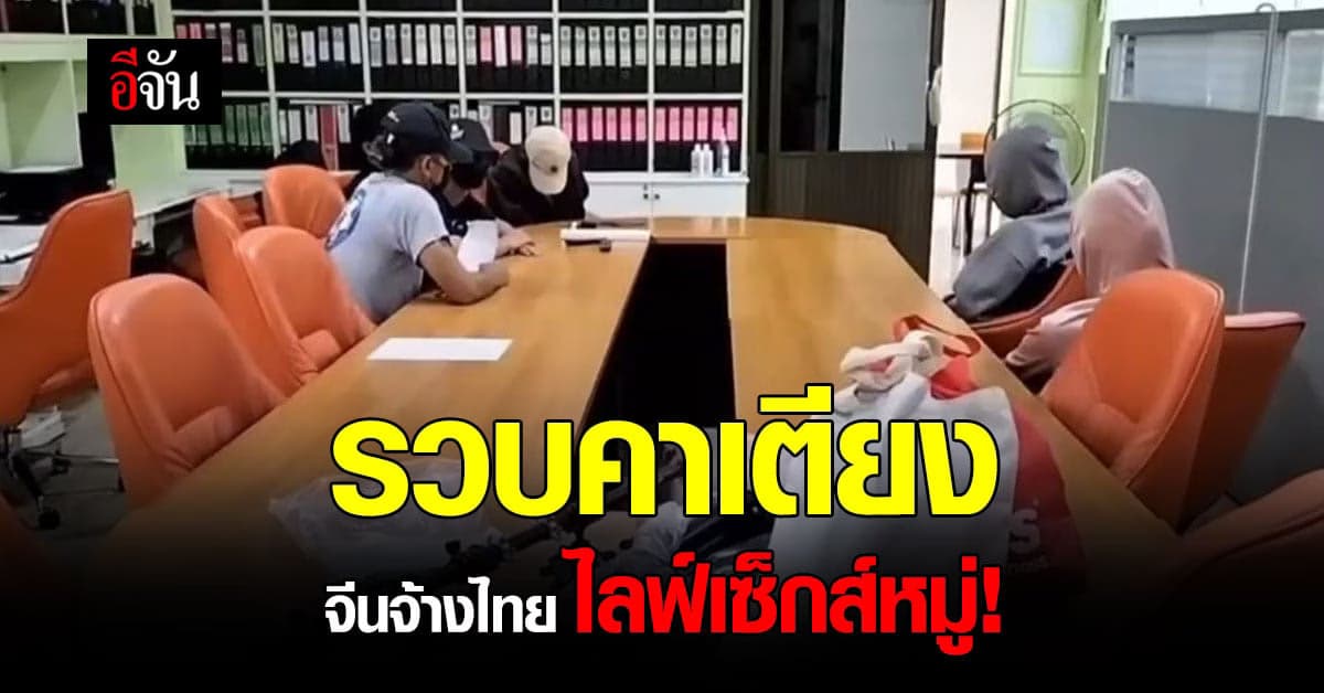 รวบนายทุนจีน จ้างคนไทยไลฟ์เซ็กส์หมู่ โชว์สยิวลงเว็บ 24 ชั่วโมง!