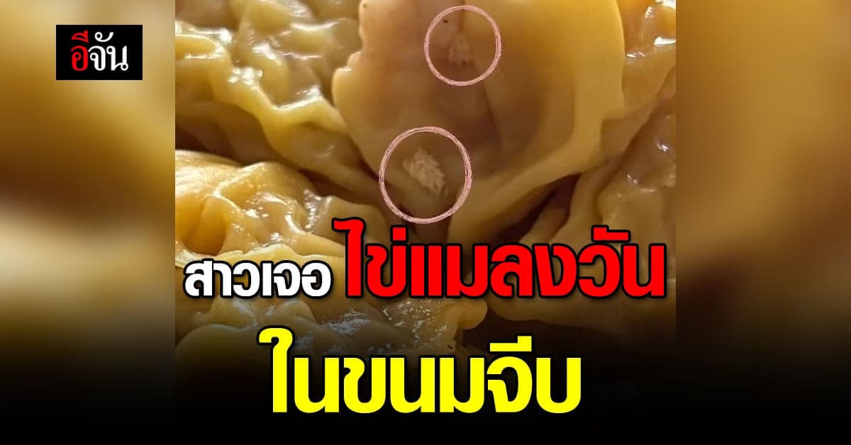 เห็นแล้วขนลุก! สาว โพสต์ เจอ ไข่แมลงวันในขนมจีบ ร้านดัง