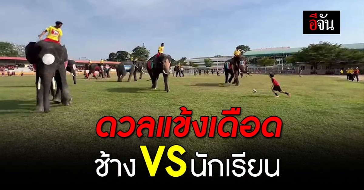 อยุธยา จัดดวลแข้ง ช้าง กับ นักเรียน รณรงค์ เชียร์บอลโลกไม่เล่นการพนัน
