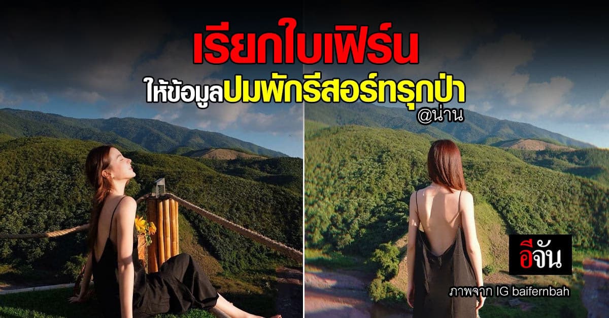ตำรวจเผยส่งหมายเรียก ใบเฟิร์น พิมพ์ชนก เป็นพยานคดี รีสอร์ทรุกป่า