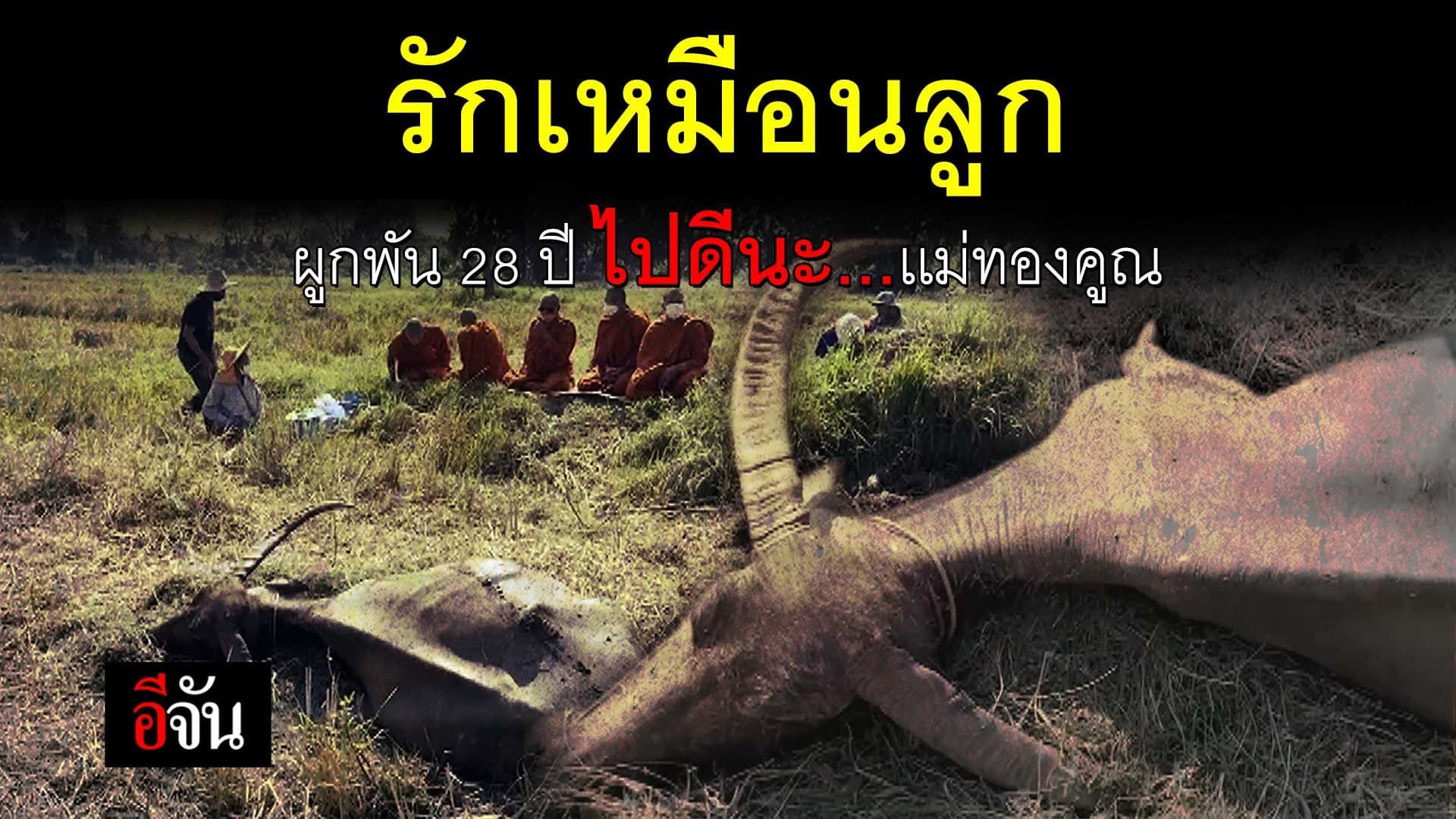 🎬 รักเหมือนลูก ผูกพัน 28 ปี ไปดีนะเเม่ทองคูณ