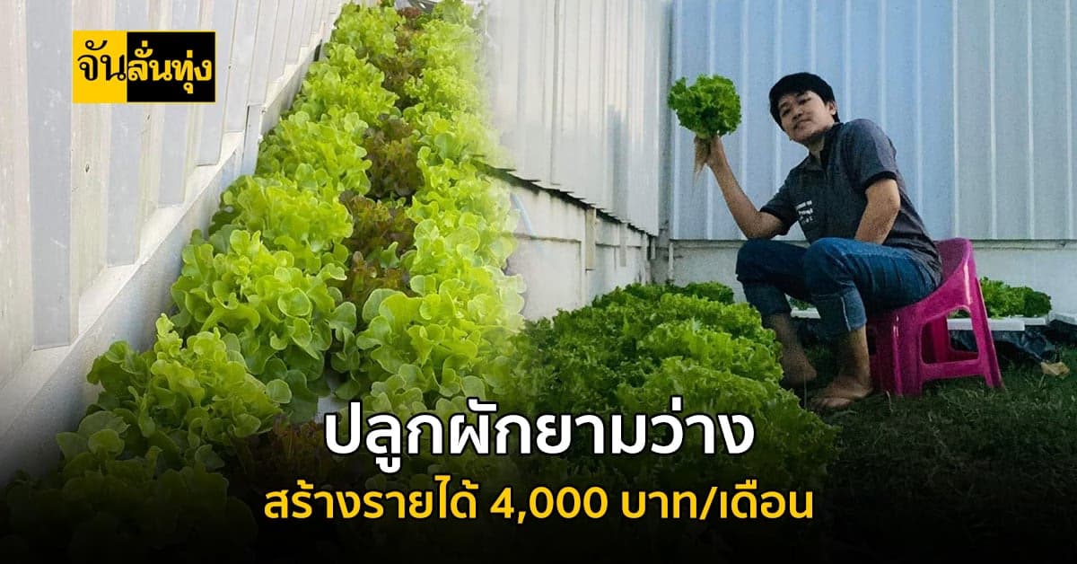 หัดปลูกผักข้างบ้าน จนสร้างรายได้กว่า 4,000 บาท/เดือน