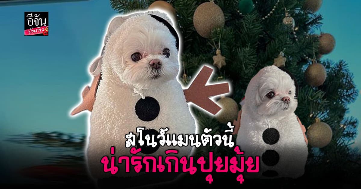 เมื่อ โคโค่ หมาน้อยของ ยองแจ GOT7 กลายเป็นตุ๊กตาหิมะ