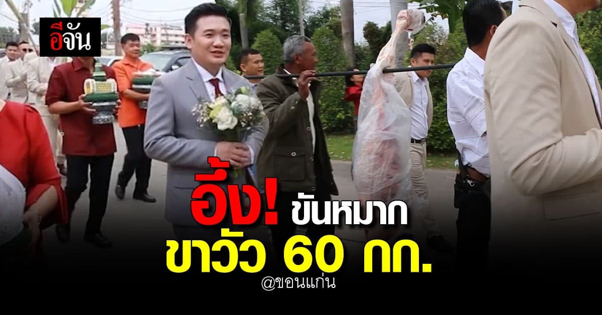 สุดปัง! พ่อเจ้าบ่าวจัดใหญ่ ขบวนขันหมาก ขาวัว รับขวัญลูกสะใภ้ : ขอนแก่น