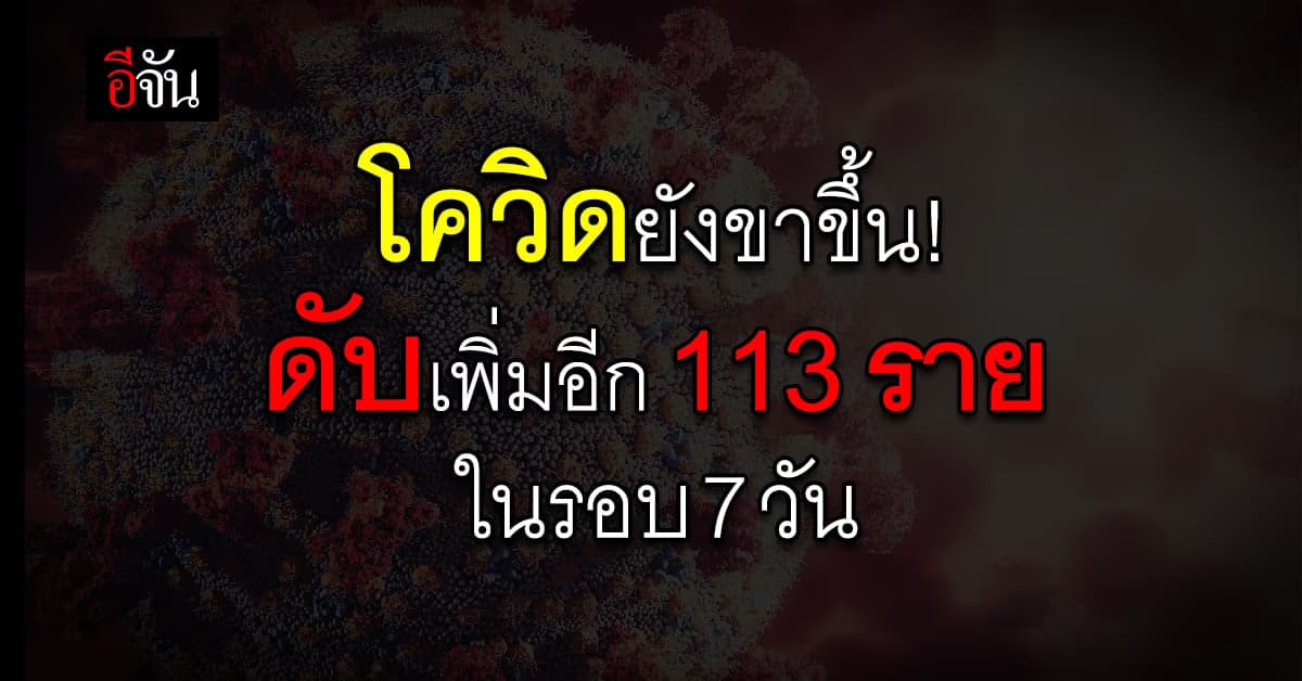 ดับเพิ่ม! 113 ราย ในรอบ 7 วัน ขณะที่ยอดติดเชื้อใหม่อยู่ที่ 3,419 ราย