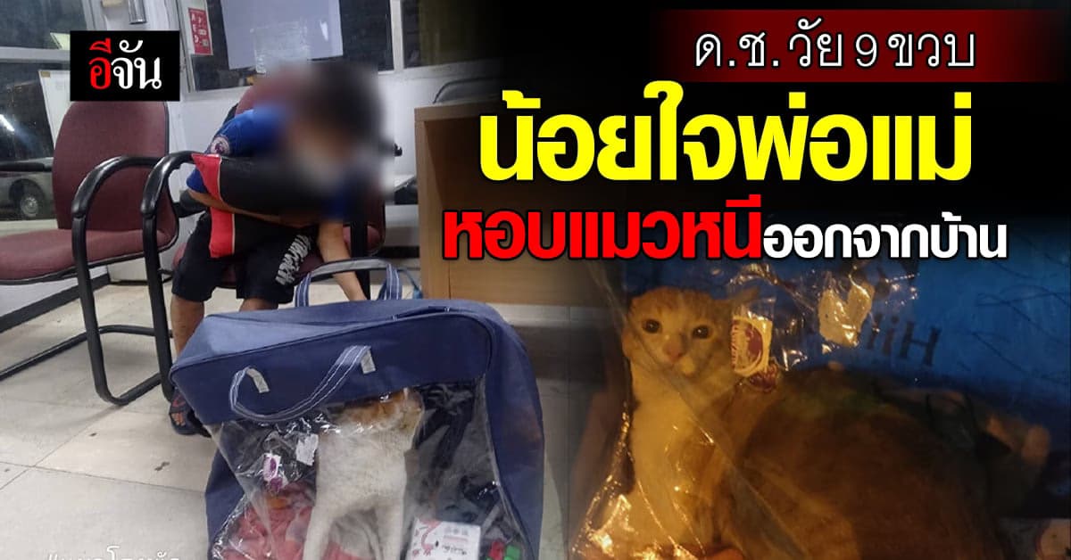 ด.ช.วัย 9 ขวบ น้อยใจพ่อแม่ หอบแมวหนีออกจากบ้าน
