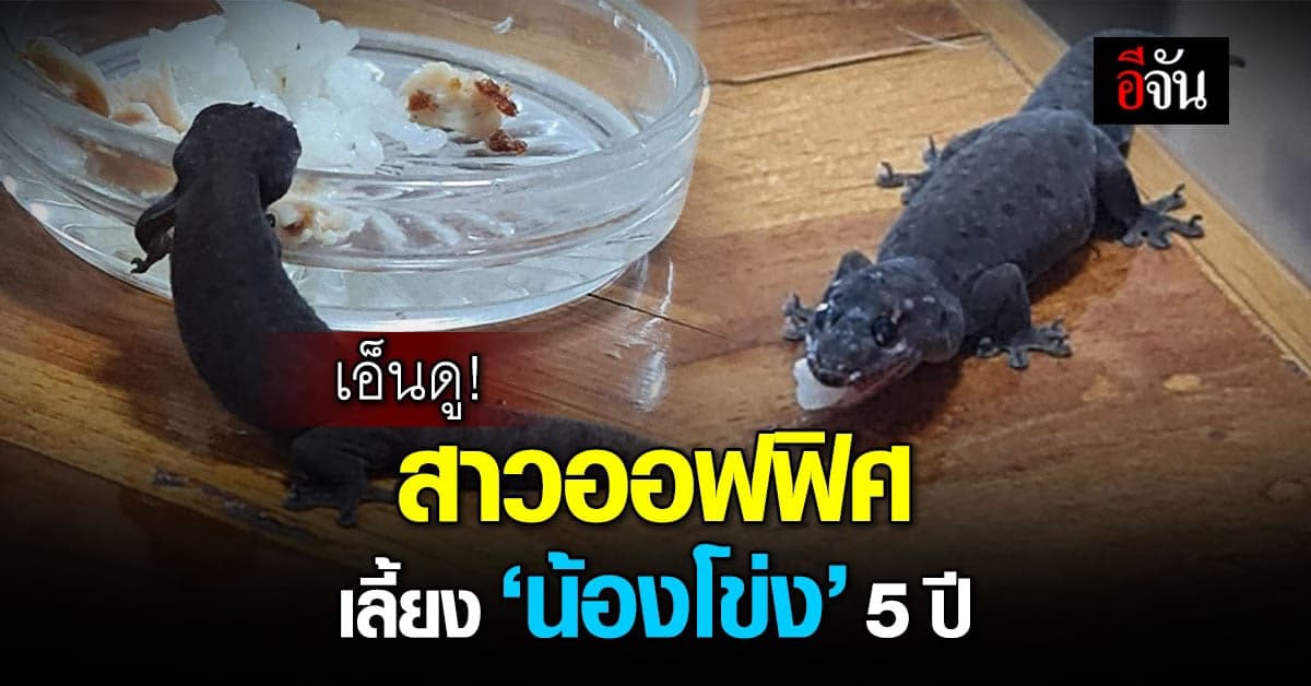 เอ็นดู น้องโข่ง เจ้าของยอมตื่นเช้าสั่งข้าวให้กินตลอด 5 ปี
