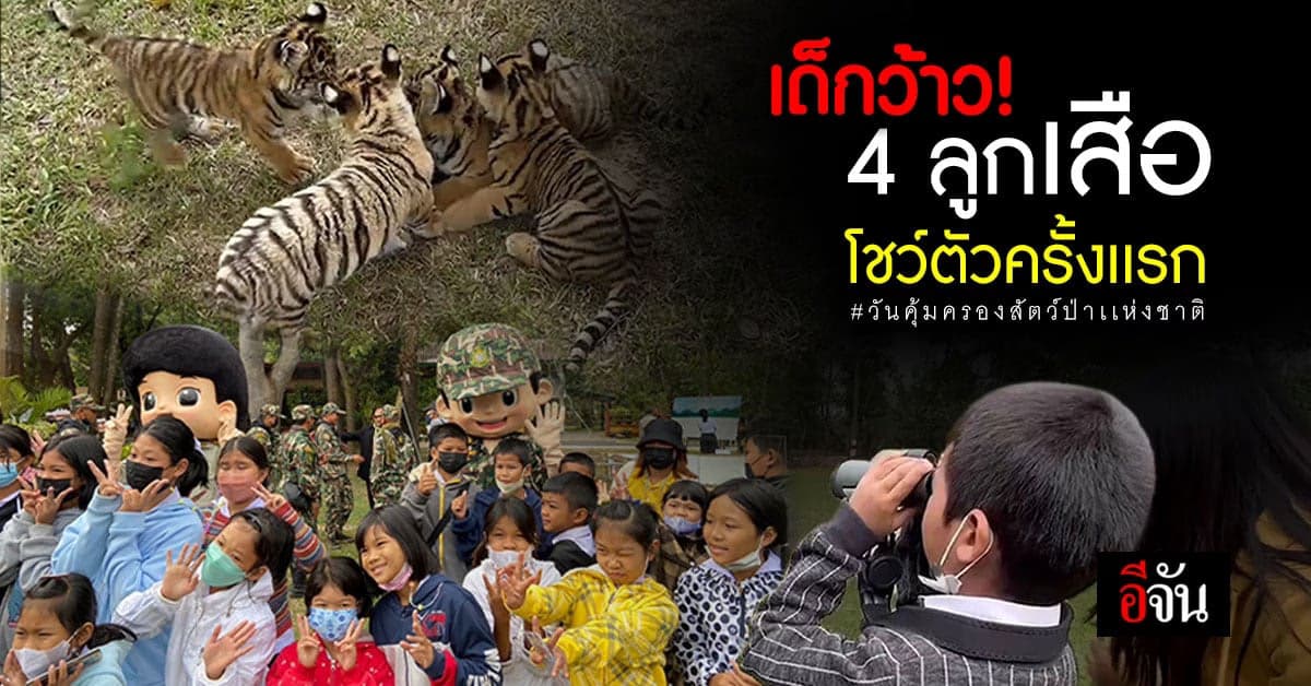 โชว์ตัวครั้งเเรก! ลูกเสือของกลาง ค้าสัตว์ป่าข้ามชาติ