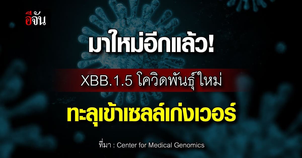 โควิดพันธุ์ใหม่! XBB.1.5 น่ากังวลสุด แพร่ระบาด-หลบภูมิ