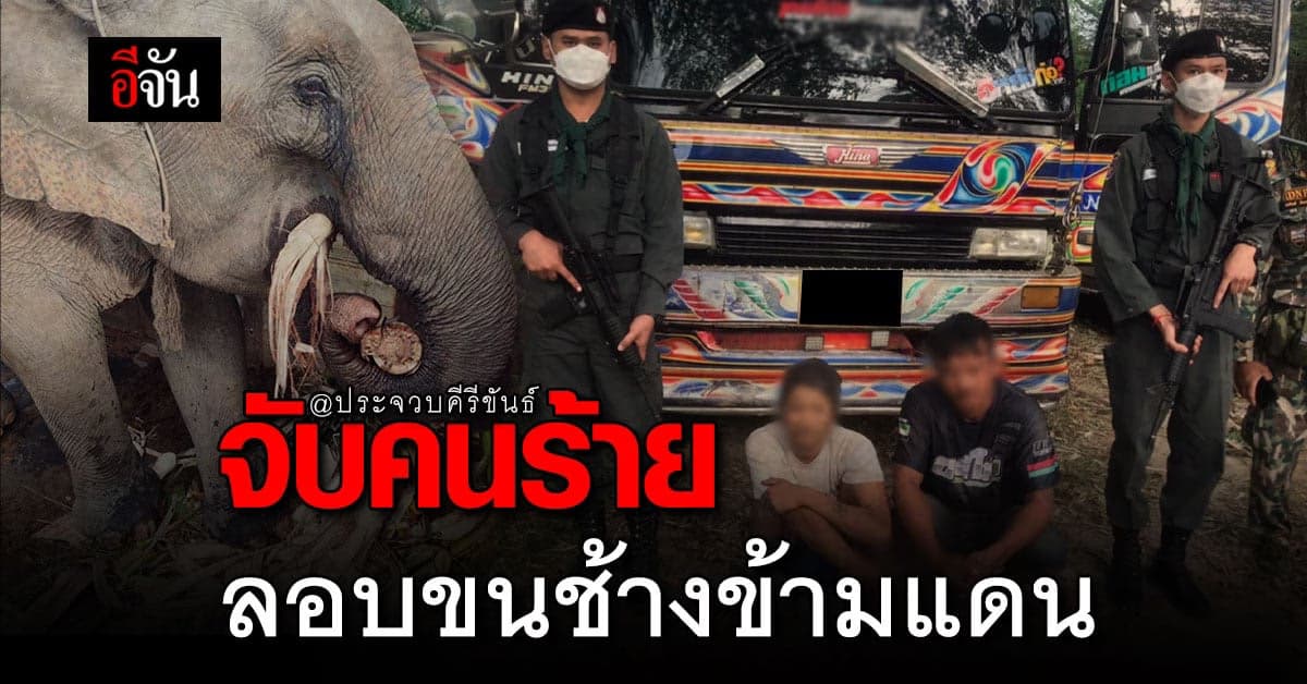 ตชด.-ฝ่ายปกครอง ประจวบฯ จับ 2 ผู้ต้องหา ลอบขนช้างพม่า ส่งขายไทย