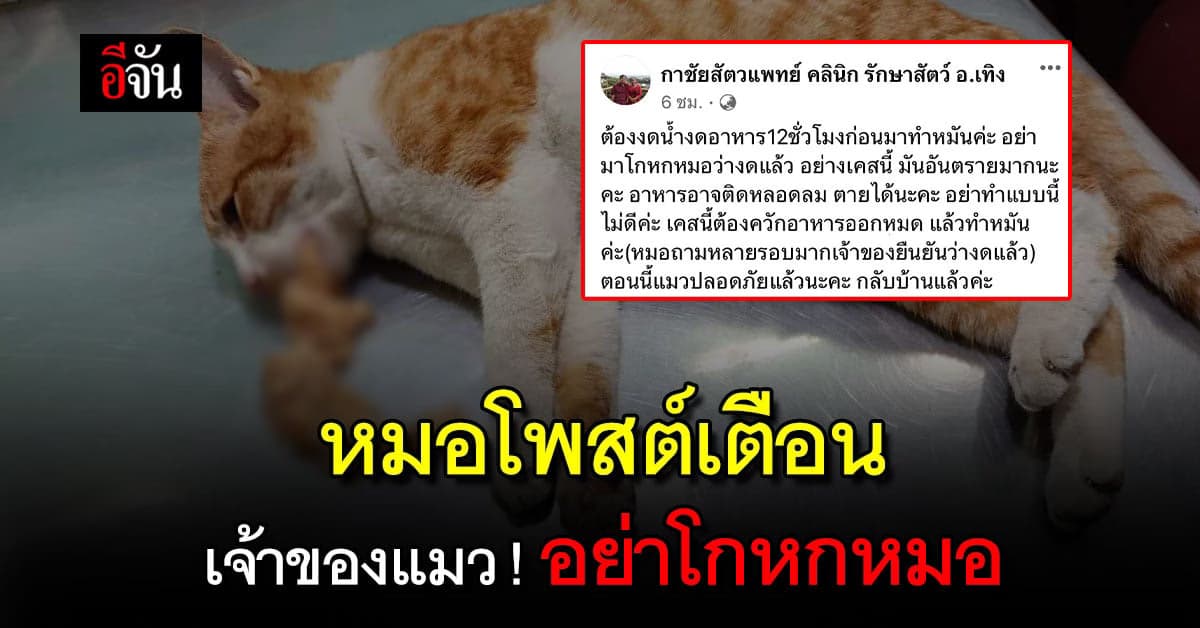 อุทาหรณ์! หมอเตือน สัตว์ต้อง งดอาหาร-น้ำ ก่อนทำหมัน อย่าโกหก