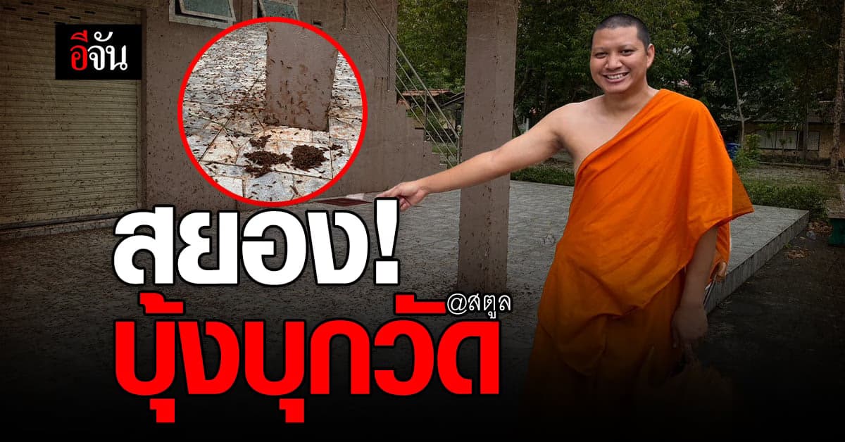 หนอนบุ้ง มหาศาล บุกวัด ทำ พระสงฆ์เดือดร้อน