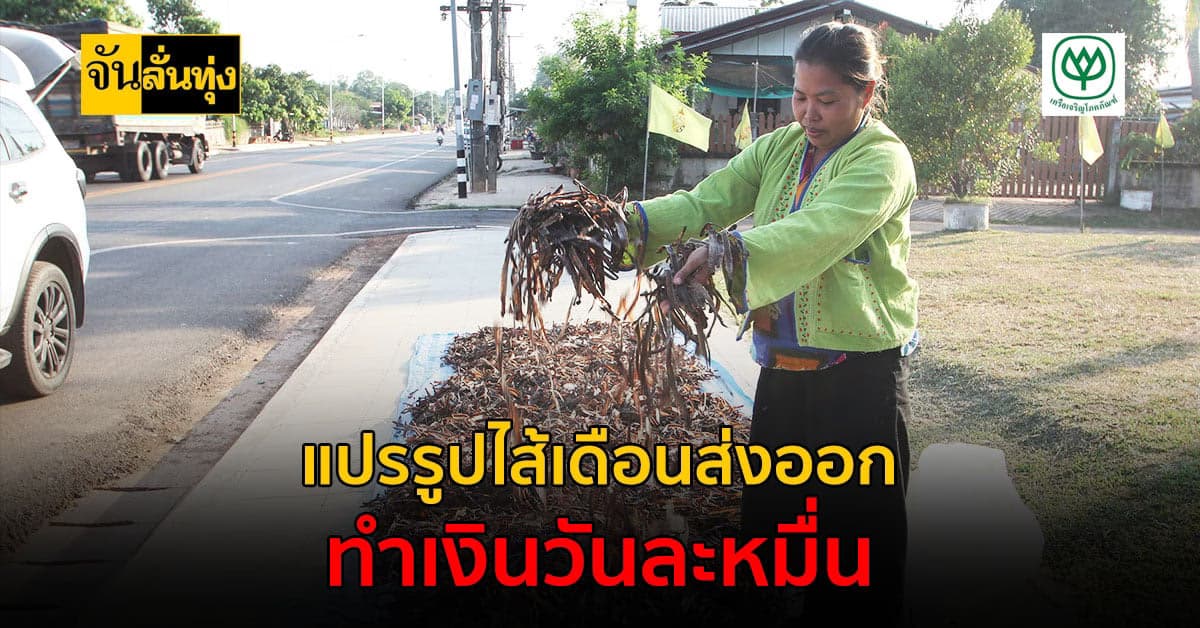 ชาวบ้านตาล นครพนม แปรรูปไส้เดือน ขายทำเงินวันละหมื่น