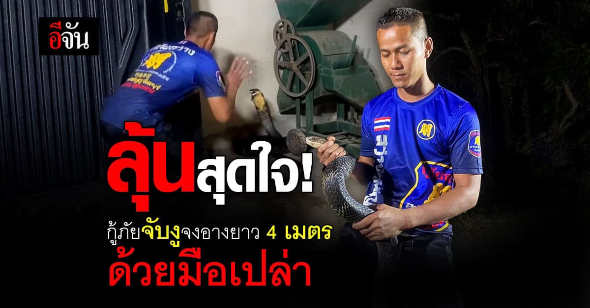 ลุ้นสุดใจ กู้ภัยเมืองจันท์ จับงูจงอาง ยาว 4 เมตร ด้วยมือเปล่า