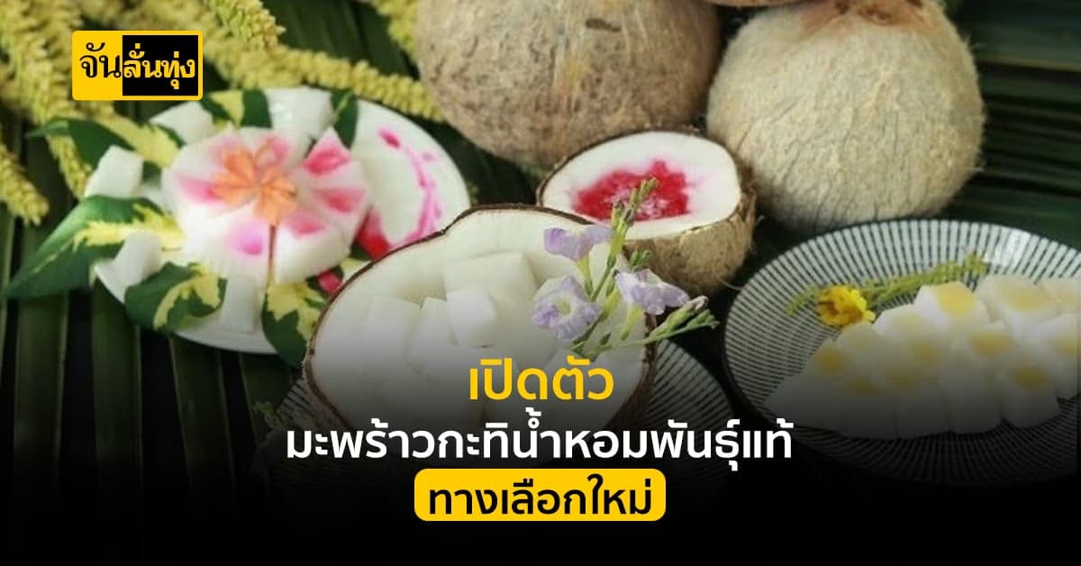 มะพร้าวกะทิน้ำหอมแท้ ทางเลือกใหม่ สร้างรายได้ก้าวกระโดด