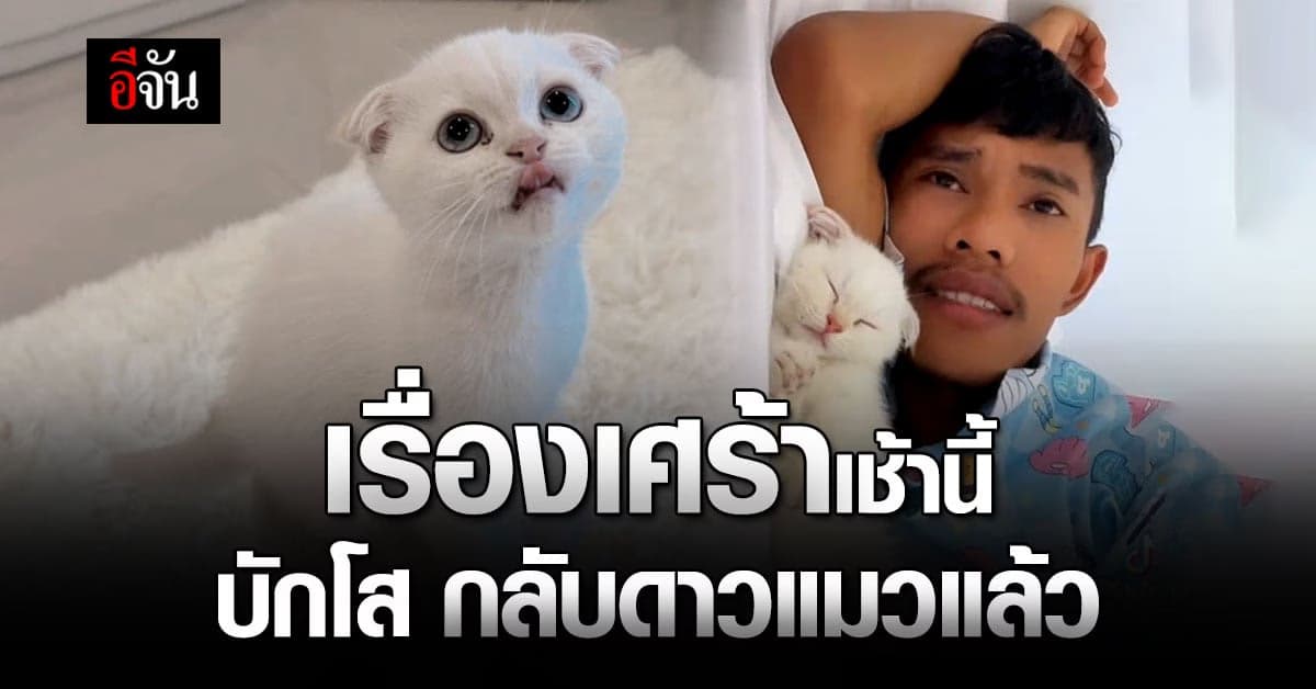 โซเชียลเศร้า บักโส เเมวดังติ๊กต็อก โดนหมากัดตาย