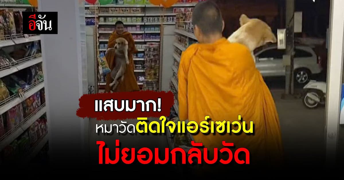 เอ็นดู หมาวัดติดใจแอร์เซเว่น เดือดร้อนเณรวิ่งตามอุ้มกลับวัด