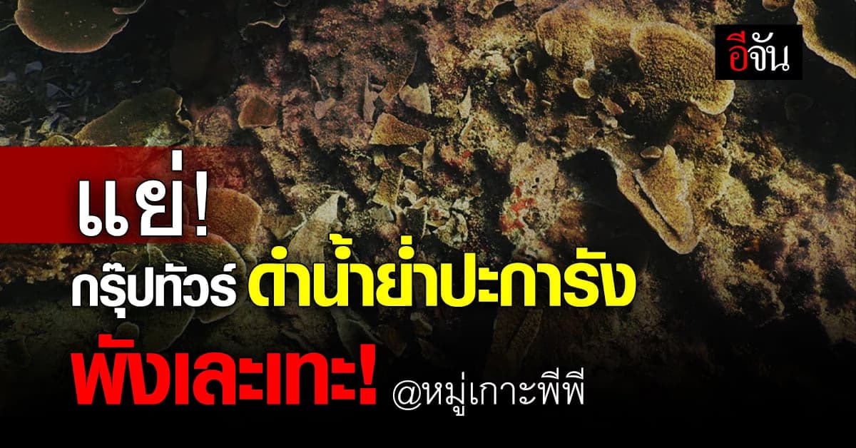 กรุ๊ปทัวร์ไร้คุณภาพ นักท่องเที่ยว ดำน้ำย่ำปะการัง พังเละเทะ