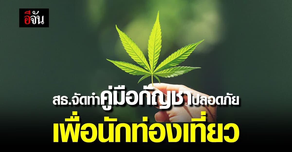 คู่มือใช้กัญชาโดย สธ. เพื่อความเข้าใจ ปลอดภัยเรื่องกัญชา