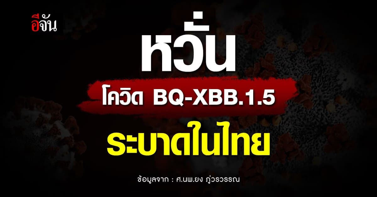 หมอยง หวั่น โควิด BQ-XBB.1.5 จากอเมริกา ระบาดในไทย