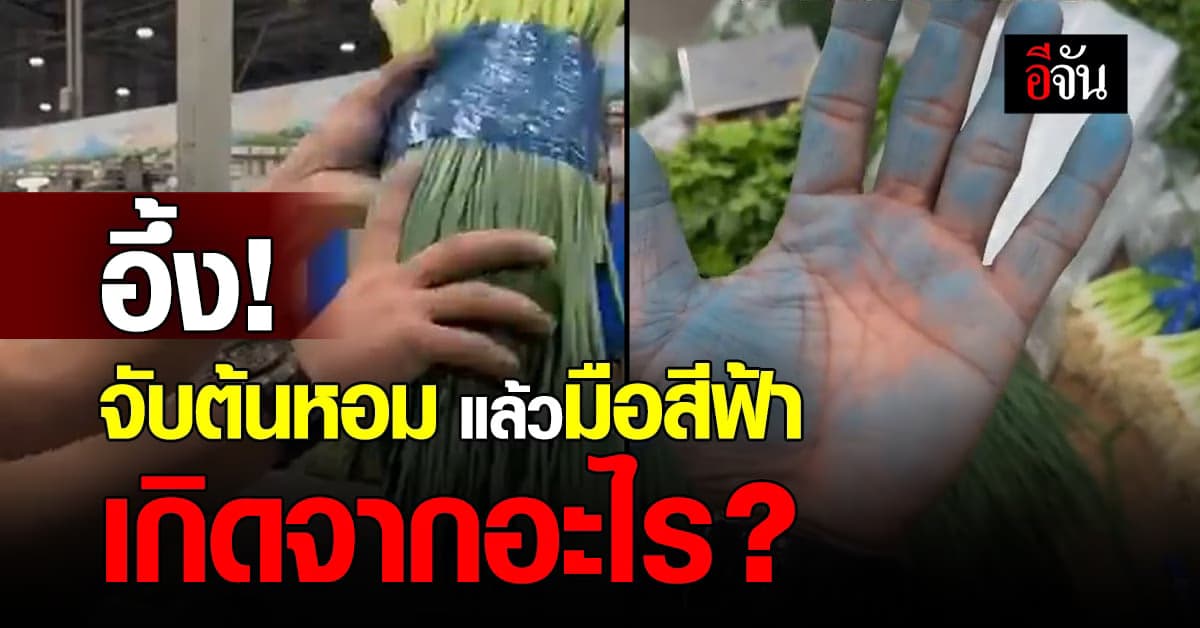 คืออะไร? ชายจับต้นหอมแล้วมือกลายเป็นสีฟ้า สงสัยใช่สารเคมีหรือไม่