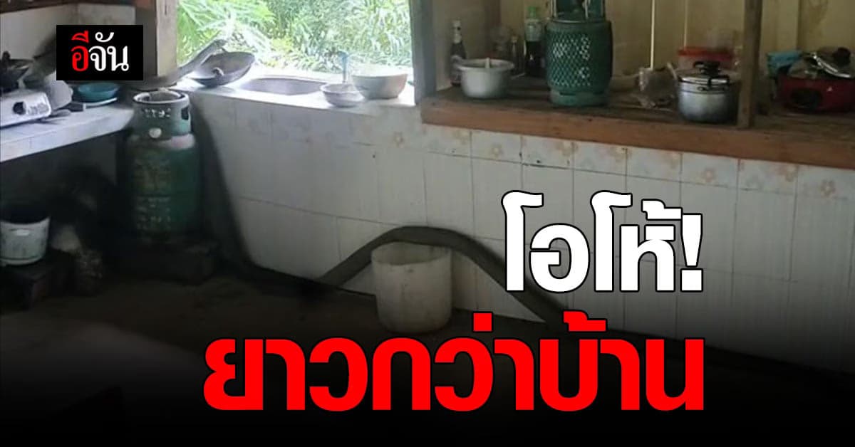 เห็นแว็บแรก นึกว่านึกว่า สายยาง ที่ไหนได้เป็น งู !!!