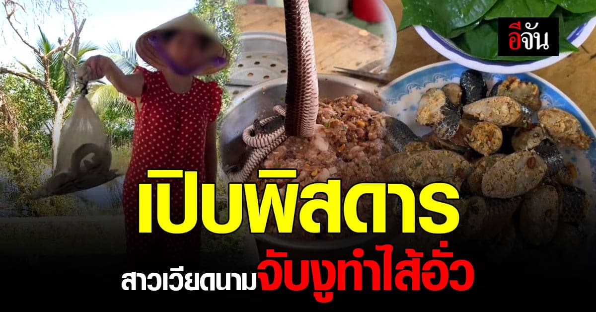 ลองมั้ย? เมนูเปิบพิสดารจากสาวเวียดนาม จับงูมาทำไส้อั่ว