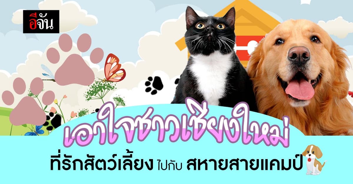 ฉลอง 10 ปี มหกรรมสัตว์เลี้ยงสุดยิ่งใหญ่ภายใต้ธีม “สหายสายแคมป์”