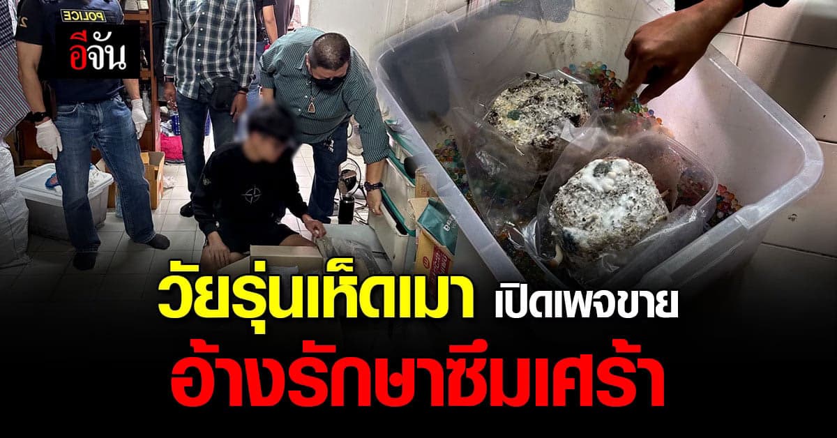 หนุ่ม 26 หัวใส เปิดเพจขายเห็ดขี้ควาย ให้กลุ่มนักศึกษา ใช้เป็นยาเสพติด